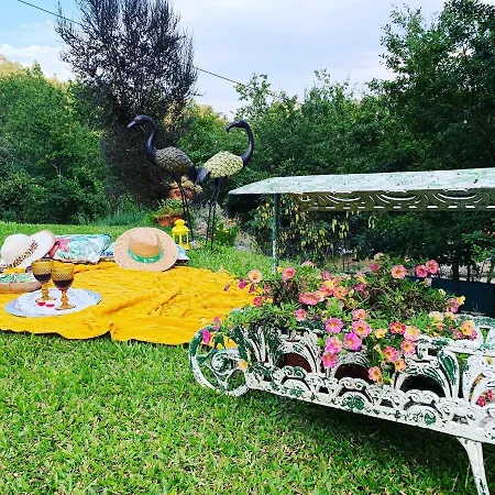 Hébergement de vacances Quinta Paraiso Do Ermal