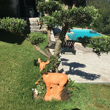 Quinta Paraíso Do Ermal