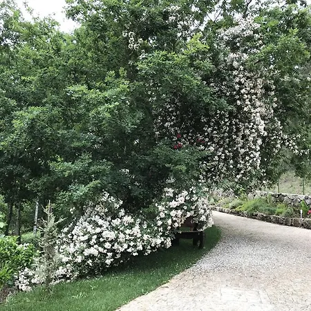 Quinta Paraíso Do Ermal Casa de Férias *