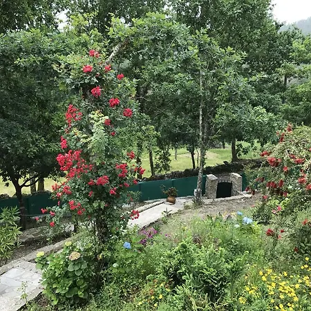 Quinta Paraíso Do Ermal * Vieira do Minho