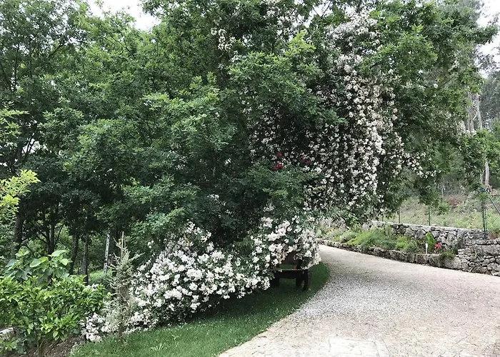 Quinta Paraiso Do Ermal Дом отдыха *